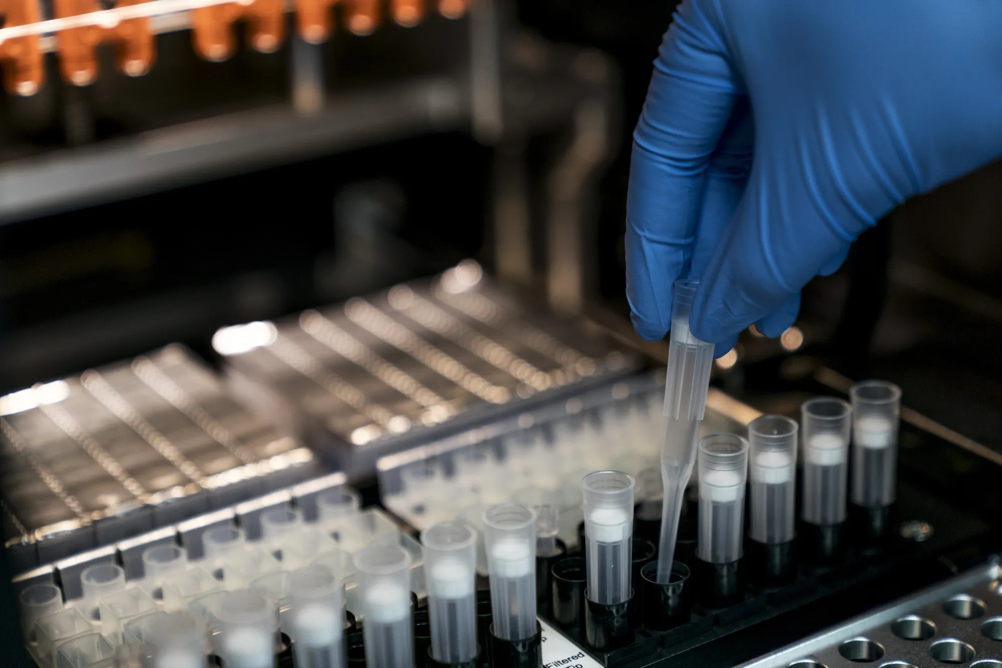 A technician handles a sample at a laboratory