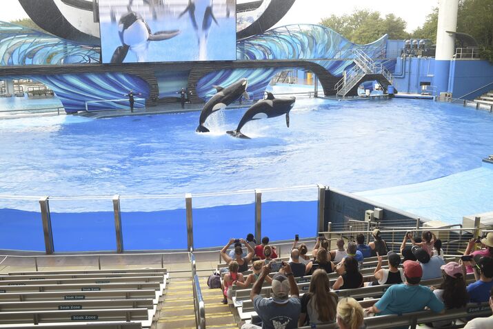 SeaWorld Orlando Reopens With Anti-Coronavirus Measures