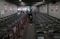 Japan’s Much-Maligned Vaccine Campaign Quietly Gathers Speed