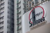 Sinopec Full-Year Earnings Fall on Impact From Covid Curbs