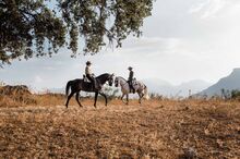 Exploring Andalucía on horseback