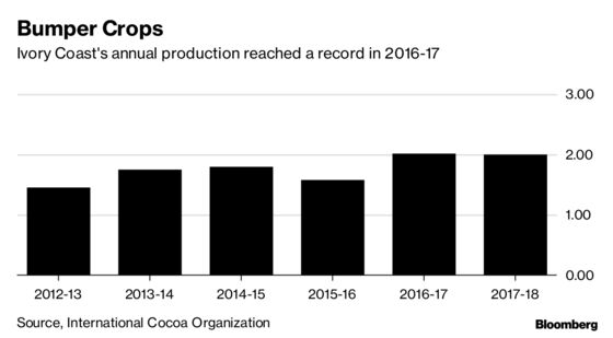 Top Cocoa Grower Poised for Record Crop as Desert Winds Descend
