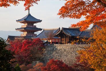 PURSUITS_WEB_Japan newsletter
