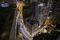 Hong Kong Stages Lockdown In Central and Western Neighborhood As City Sends Hundreds In Quarantine Amid Outbreak