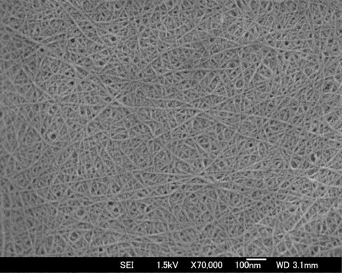 Cellulose nanofibers at 70,000X magnification