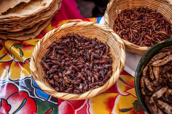 Toasty, Salty, and Extra Crunchy: Grasshoppers Hop to a Menu Near You