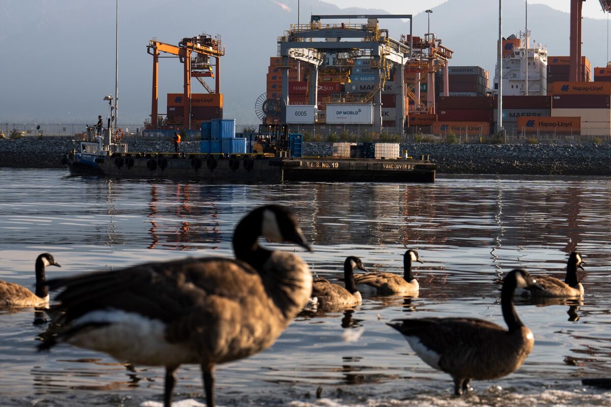 Canada’s Investment Pitch Needs More Than Carney’s Megaprojects