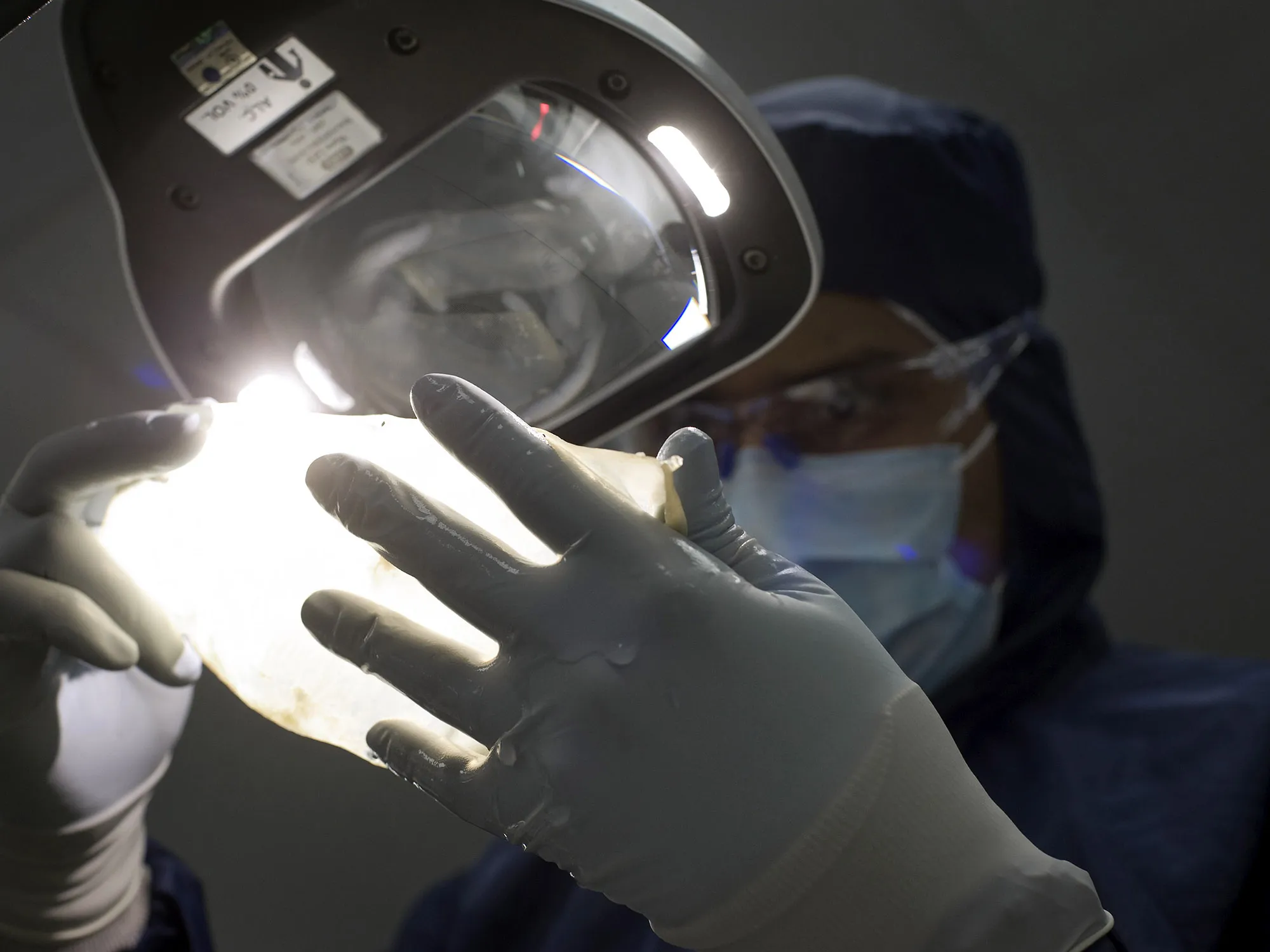 health care healthcare bio 