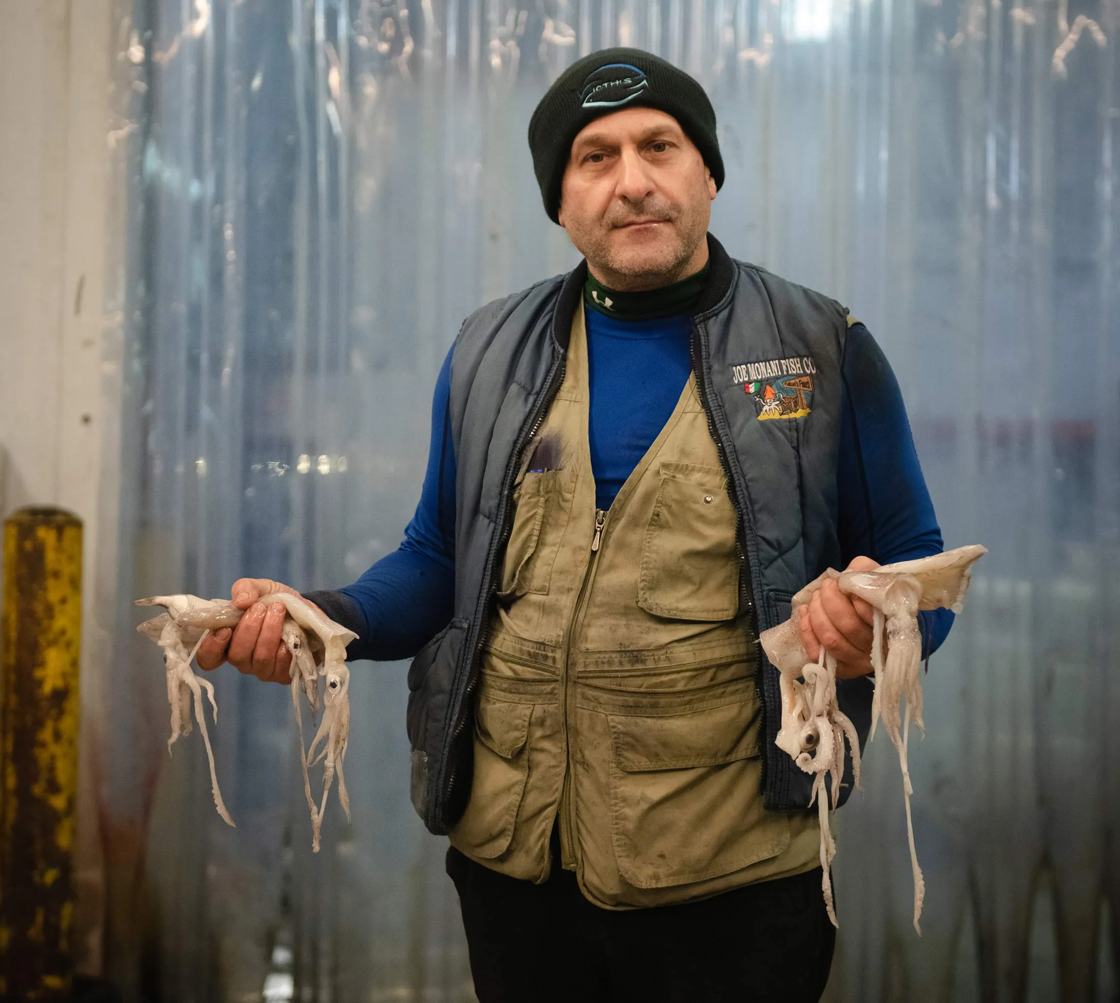 Squid Growth Makes Calamari a Climate-Friendly Dinner Option - Bloomberg