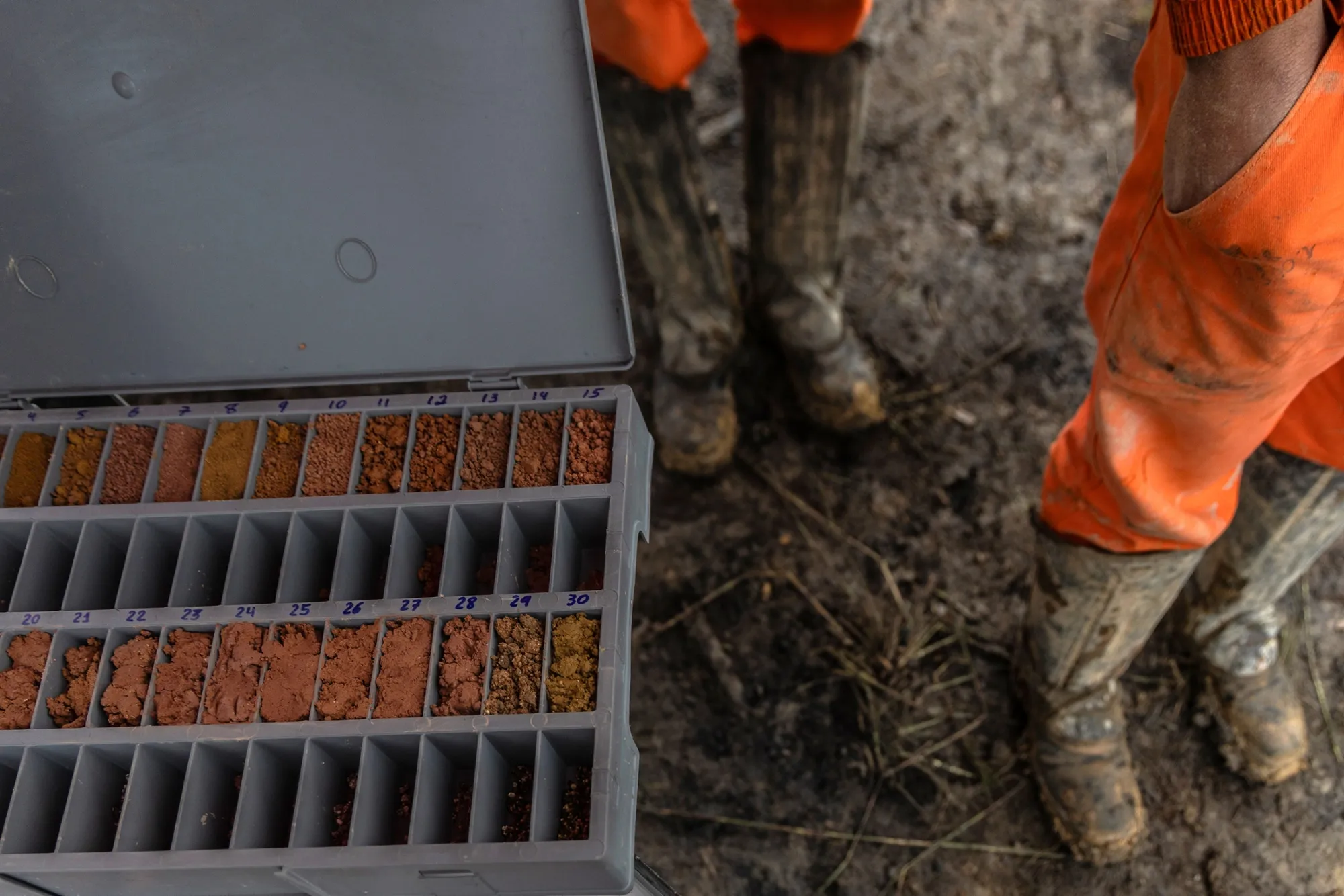 Labeled trays of soil samples collected at a rare earth exploration site in Brazil are prepared for laboratory analysis.