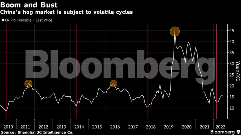 China's hog market is subject to volatile cycles