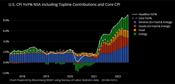 US_CPI_YOY_June_2022_ECAN