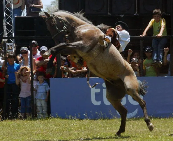Taming inflation is harder than being a gaucho.