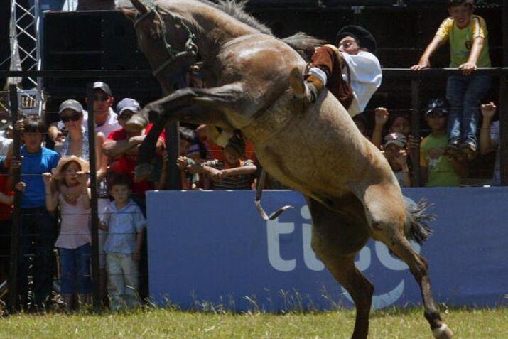 An Argentine 'gaucho' breaks in a horse
