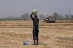 A farmer in Punjab’s Ludhiana District tries to cool off on May 1.