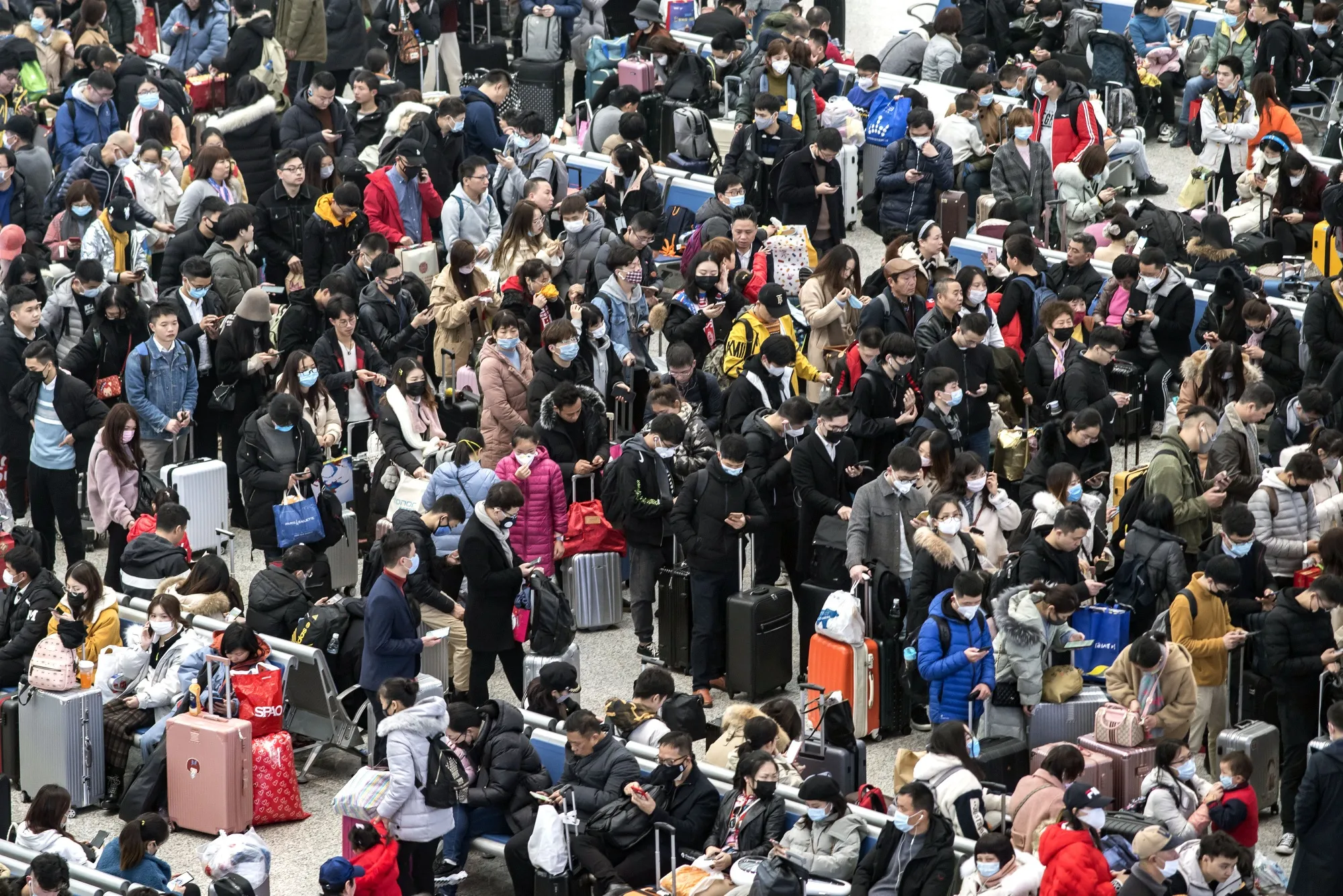 The world’s largest migration.