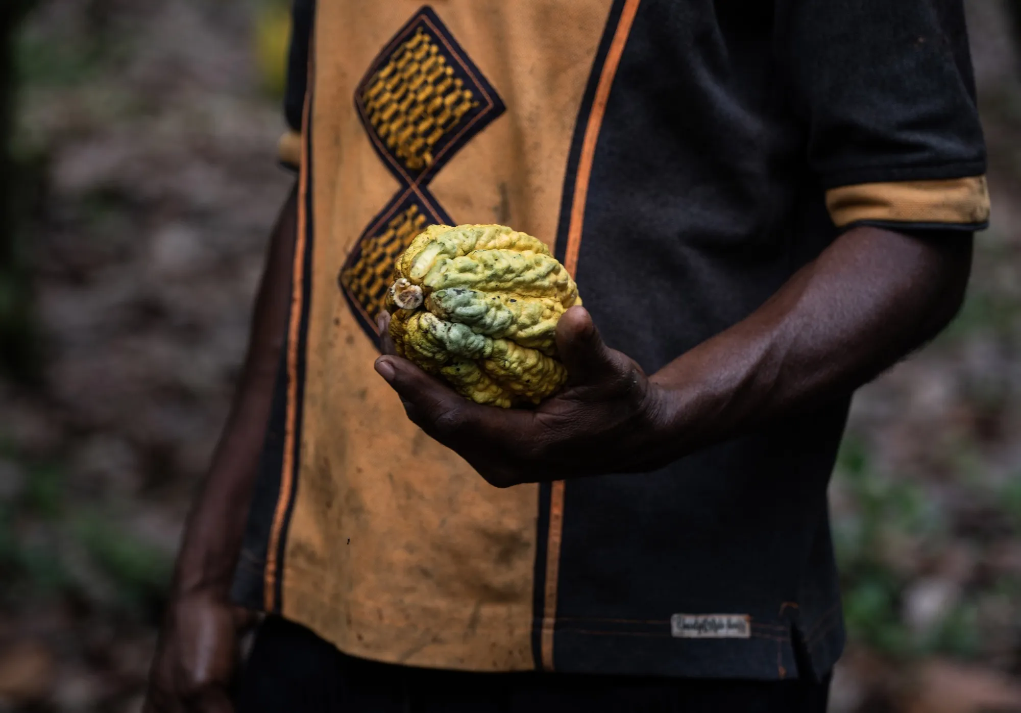 Growers in Ivory Coast and Ghana are expected to deliver lower-than-expected crops.