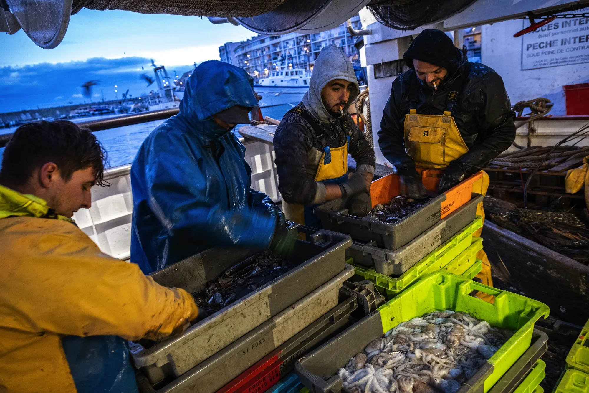 Fishermen sort and clean freshly catch fish&nbsp;in Sete, France.&nbsp;