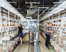 Workers assemble the famous footbeds at the Birkenstock factory in Görlitz.