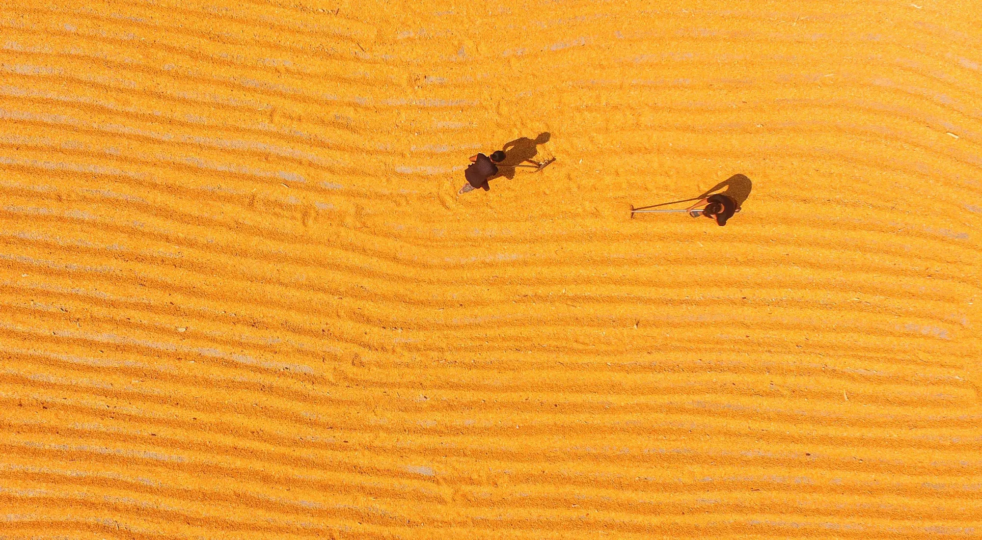TOPSHOT-CHINA-AGRICULTURE