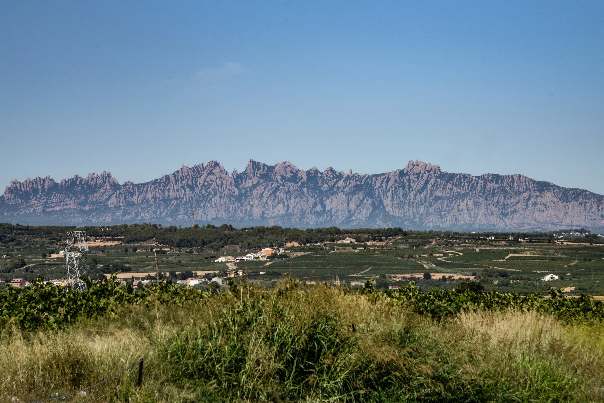 Grape Harvest And Wine Production In Spain's Cava Region