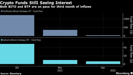 Investors Stick With Bitcoin ETFs Despite Crypto’s Recent Slump