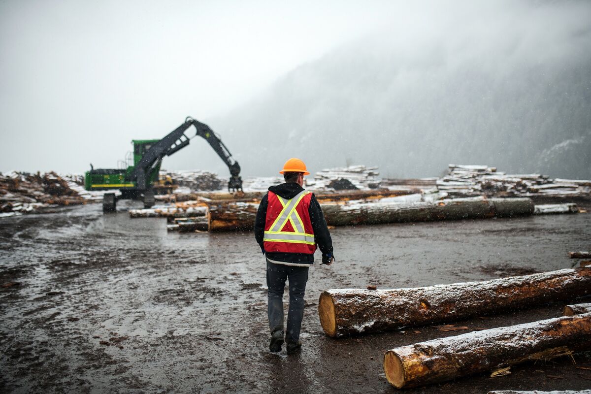 Lockdown Renovation Boom Sends Canadian Lumber Stocks Surging Bloomberg