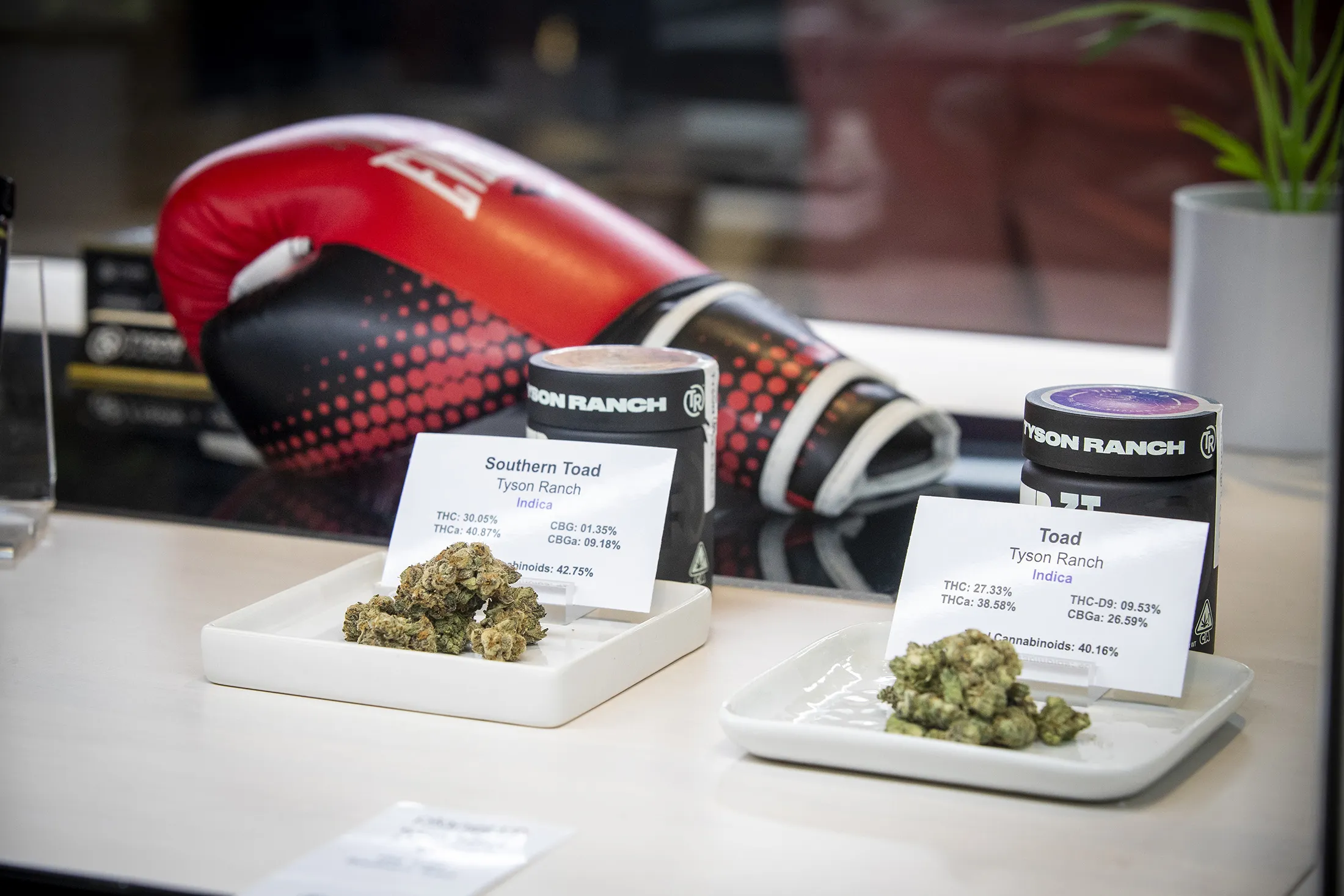 Mike Tyson’s Tyson Ranch brand of cannabis products displayed at a dispensary in Santa Ana, California.