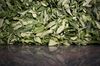 Tea leaves move along a drying belt while being processed at the Charleston Tea Plantation in Wadmalaw Island, South Carolina, U.S..