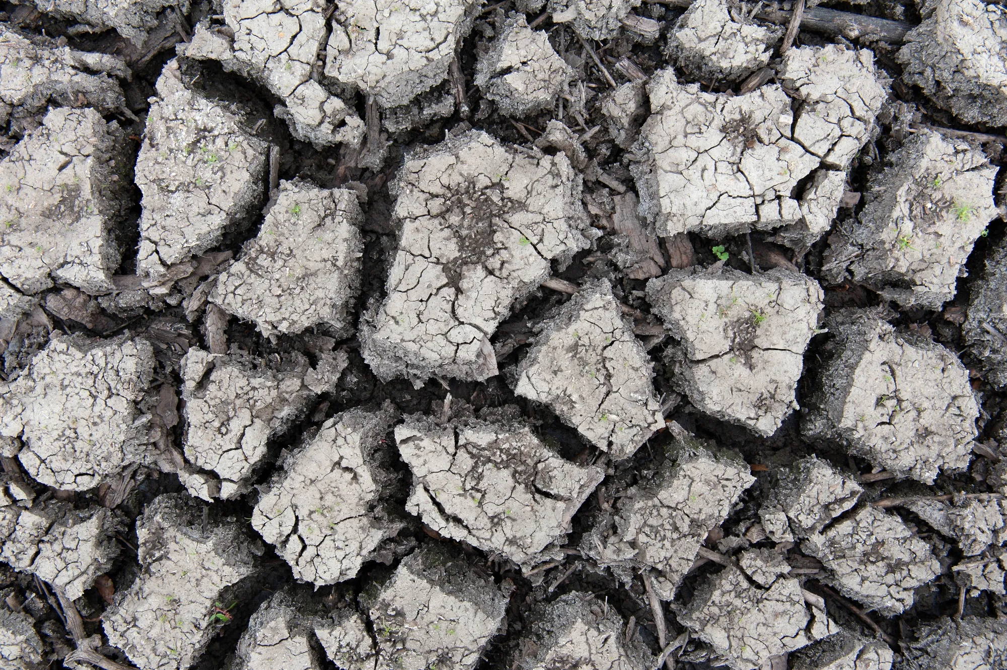 The Mississippi River is encountering another year of drought.