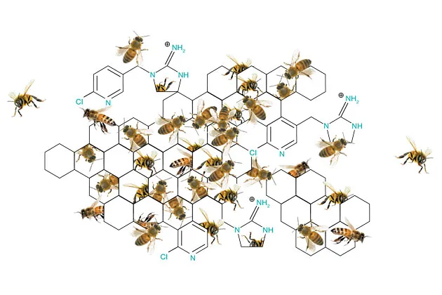 That’s no honeycomb. It’s the chemical structure of bug sprays some say kill bees