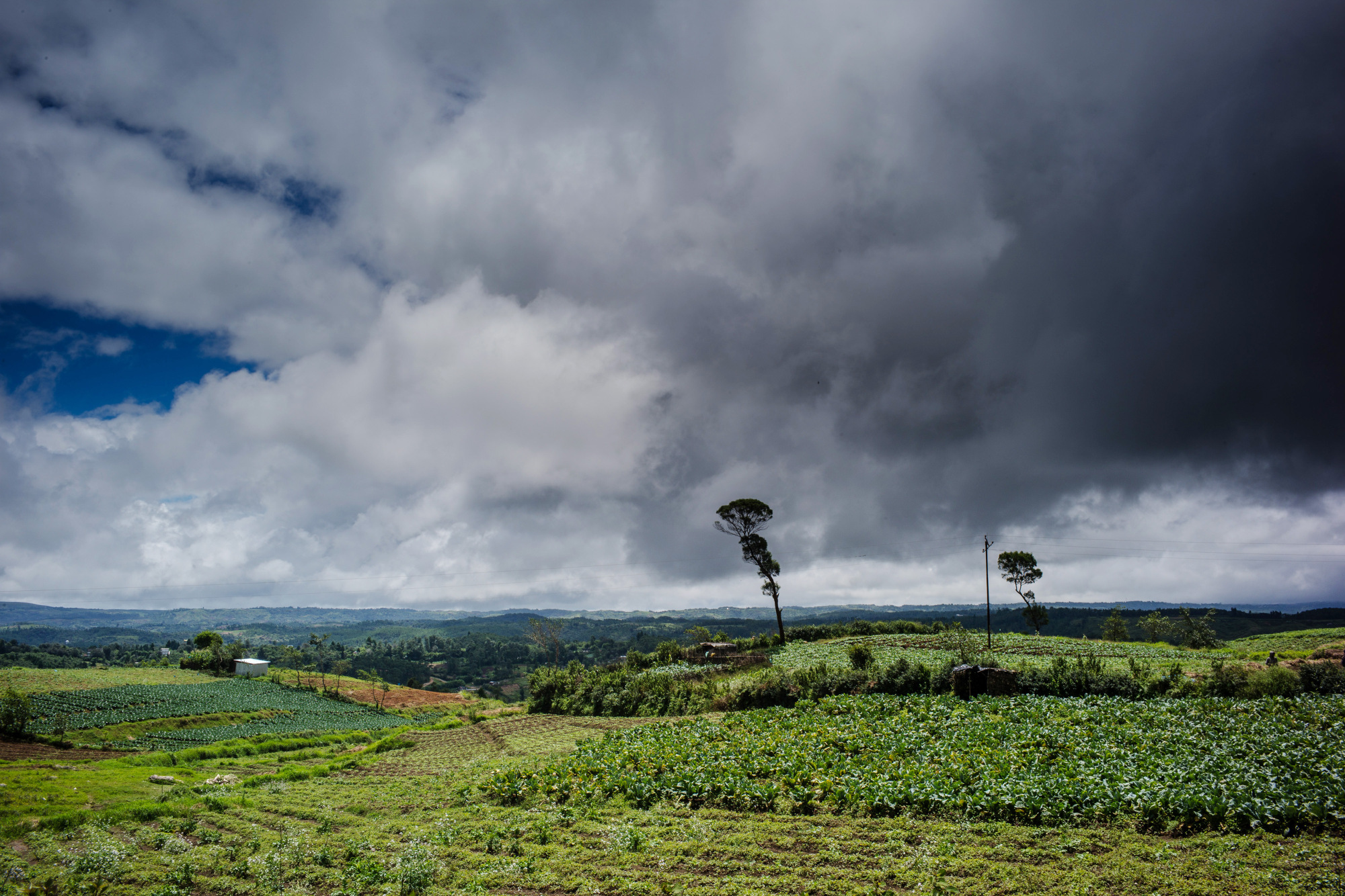 Watch This Man Has One of the Toughest Weather Forecasting Jobs Bloomberg