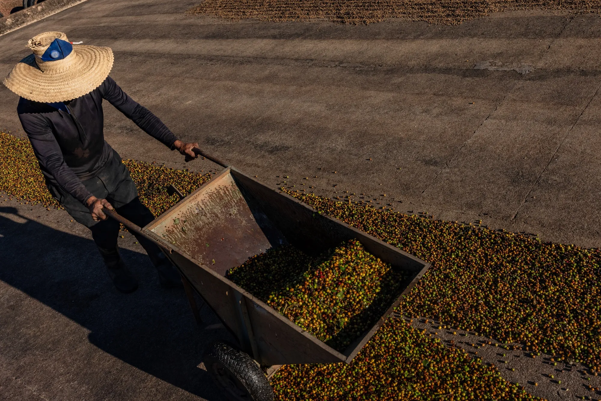 Tariffs and Climate Change Push Coffee Prices Up - Bloomberg