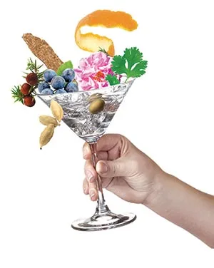 Small-Batch Gin Is Back, Minus the Bathtub