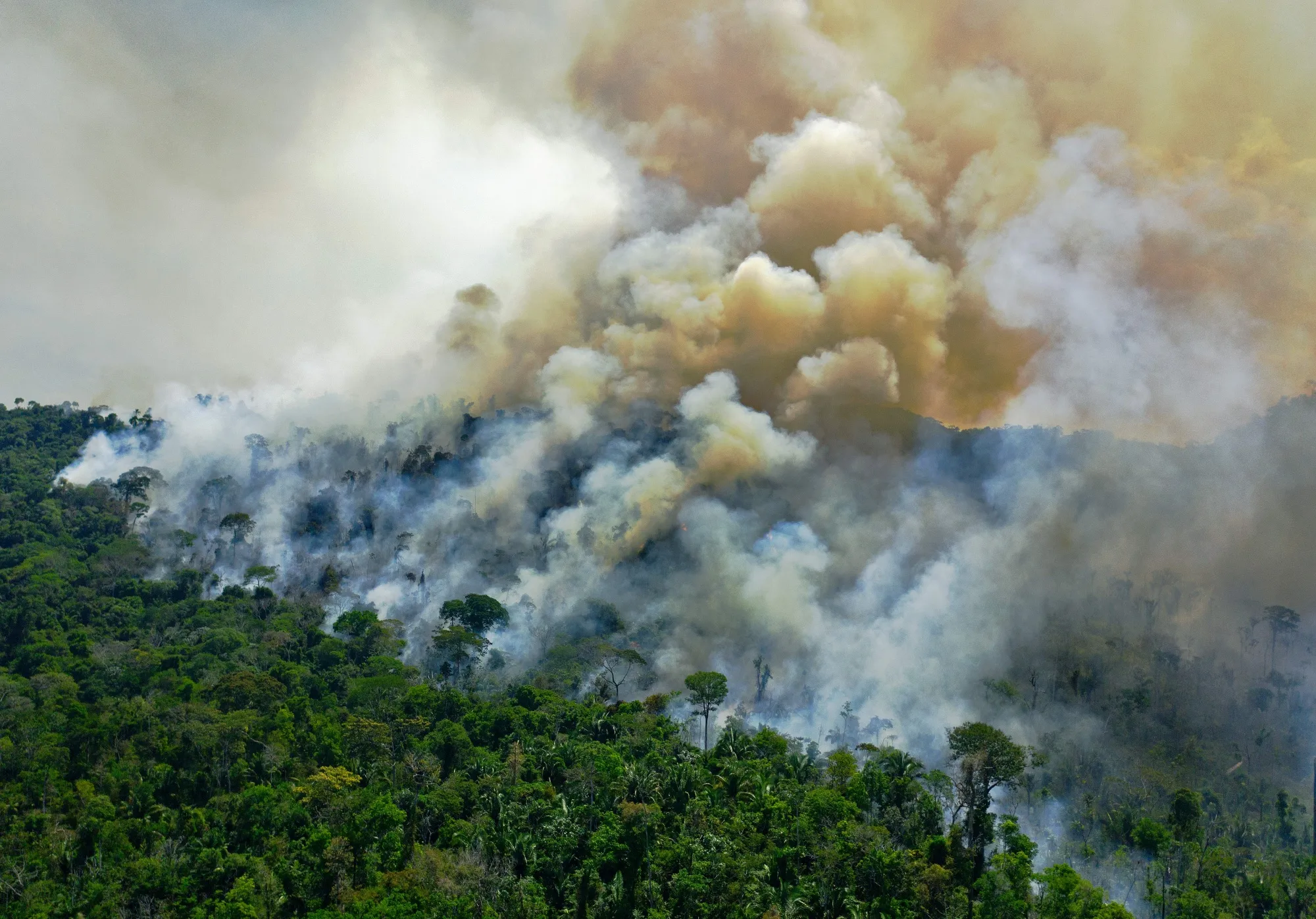 &nbsp;Aerial view of a burning area of Amazon rainforest reserve in 2020.