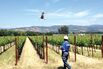 Will Drones Become the Toast of Napa?