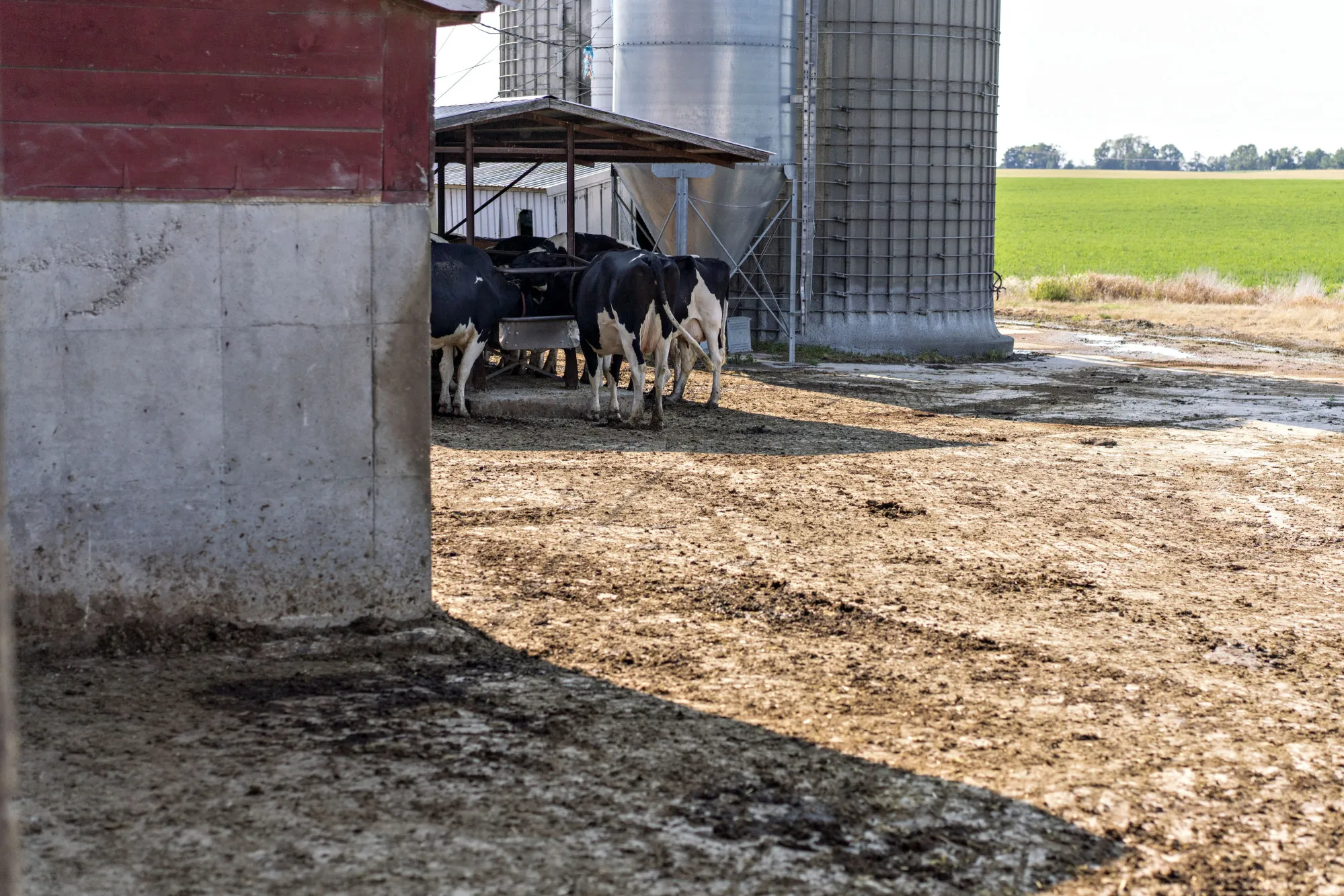 Operations At Sartori Co. Cheese Facility As U.S. Producers Fear Mexico's Retaliatory Tariffs
