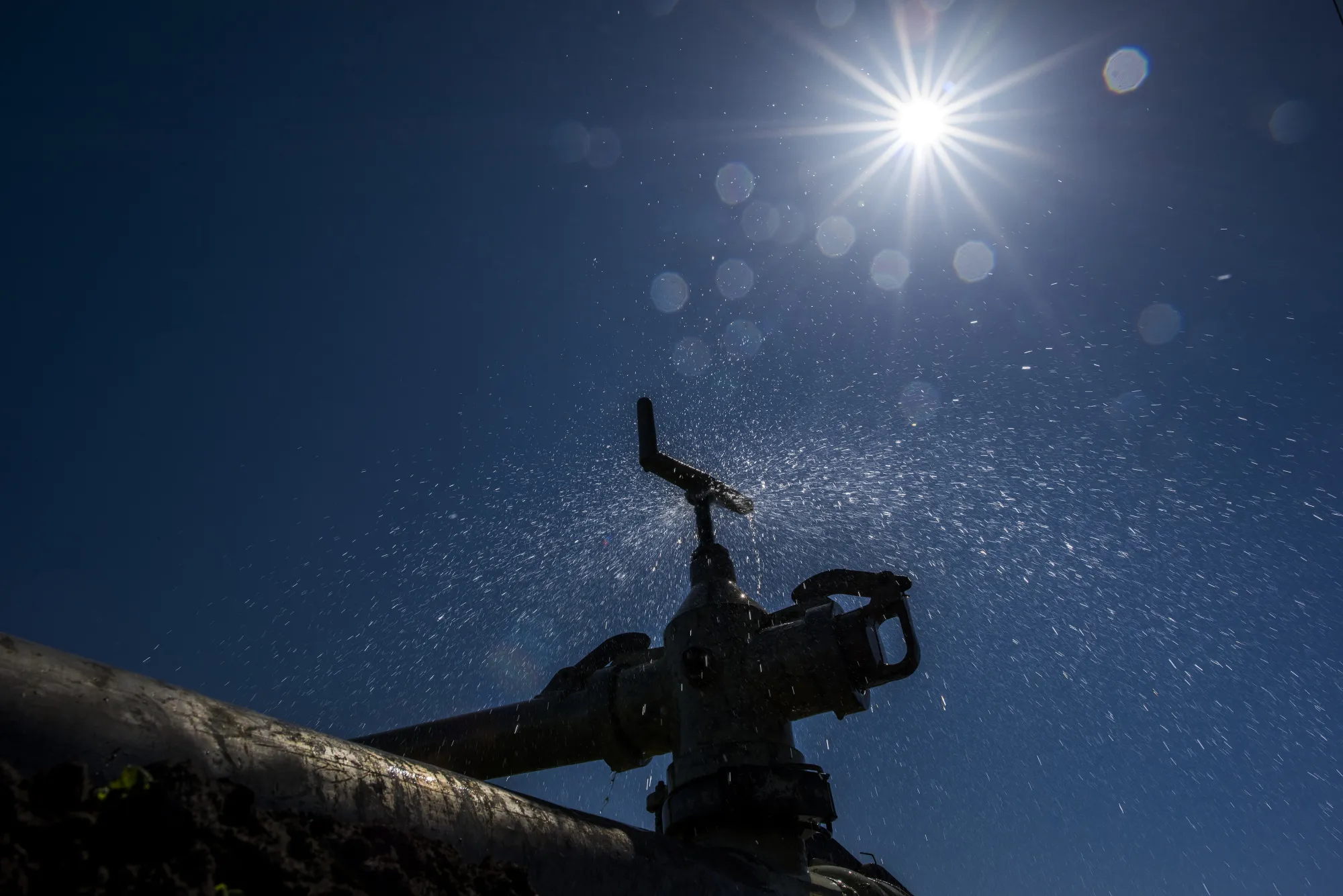 Water sprays out of the valve of a sprinkler system irrigating a field of produce on a farm in California, U.S.