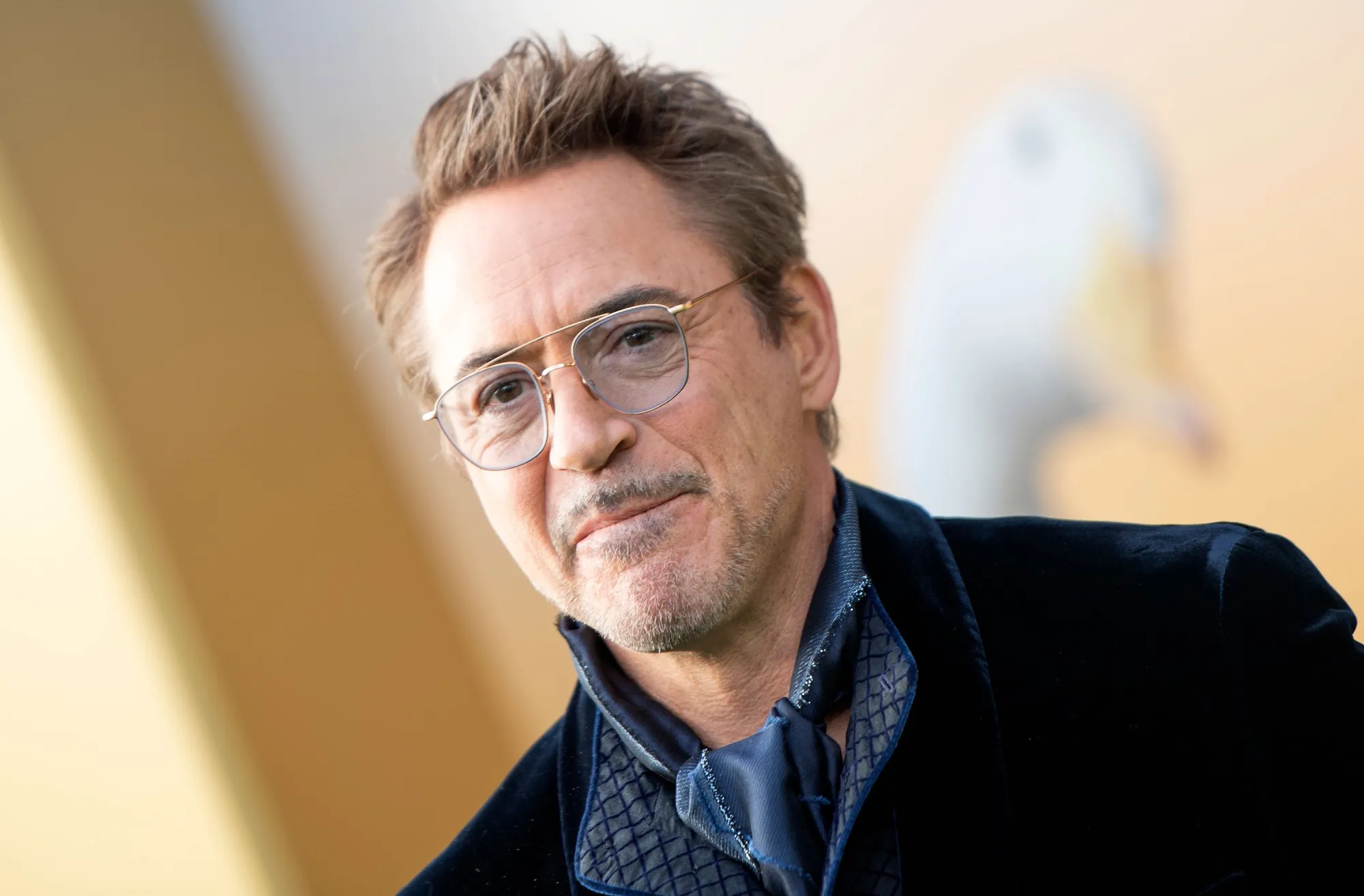 Robert Downey Jr.