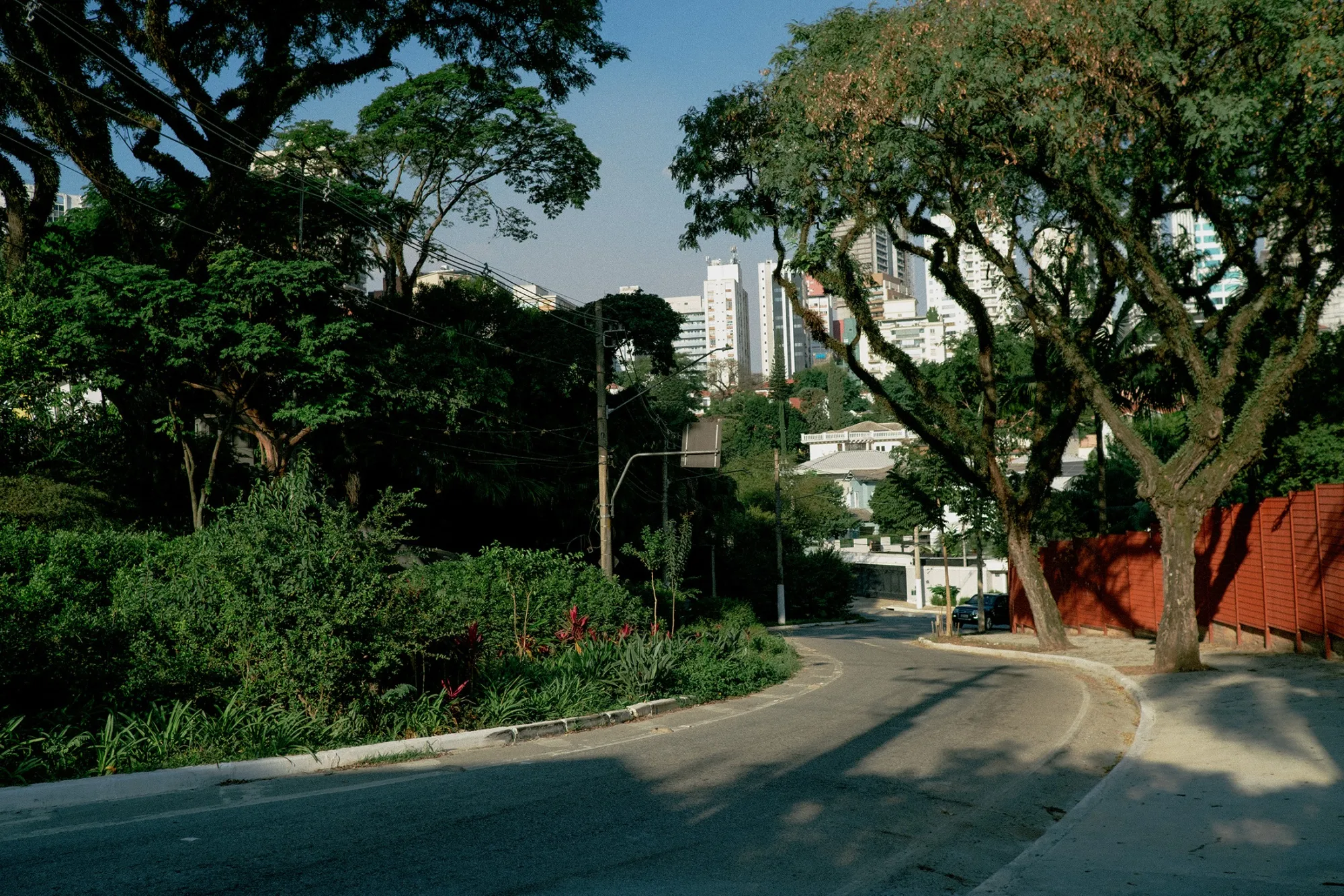 A&nbsp;rain garden in the São Paulo neighborhood of&nbsp;Pacaembu.