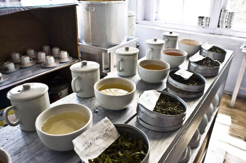 Different types of teas are laid out for tasting.