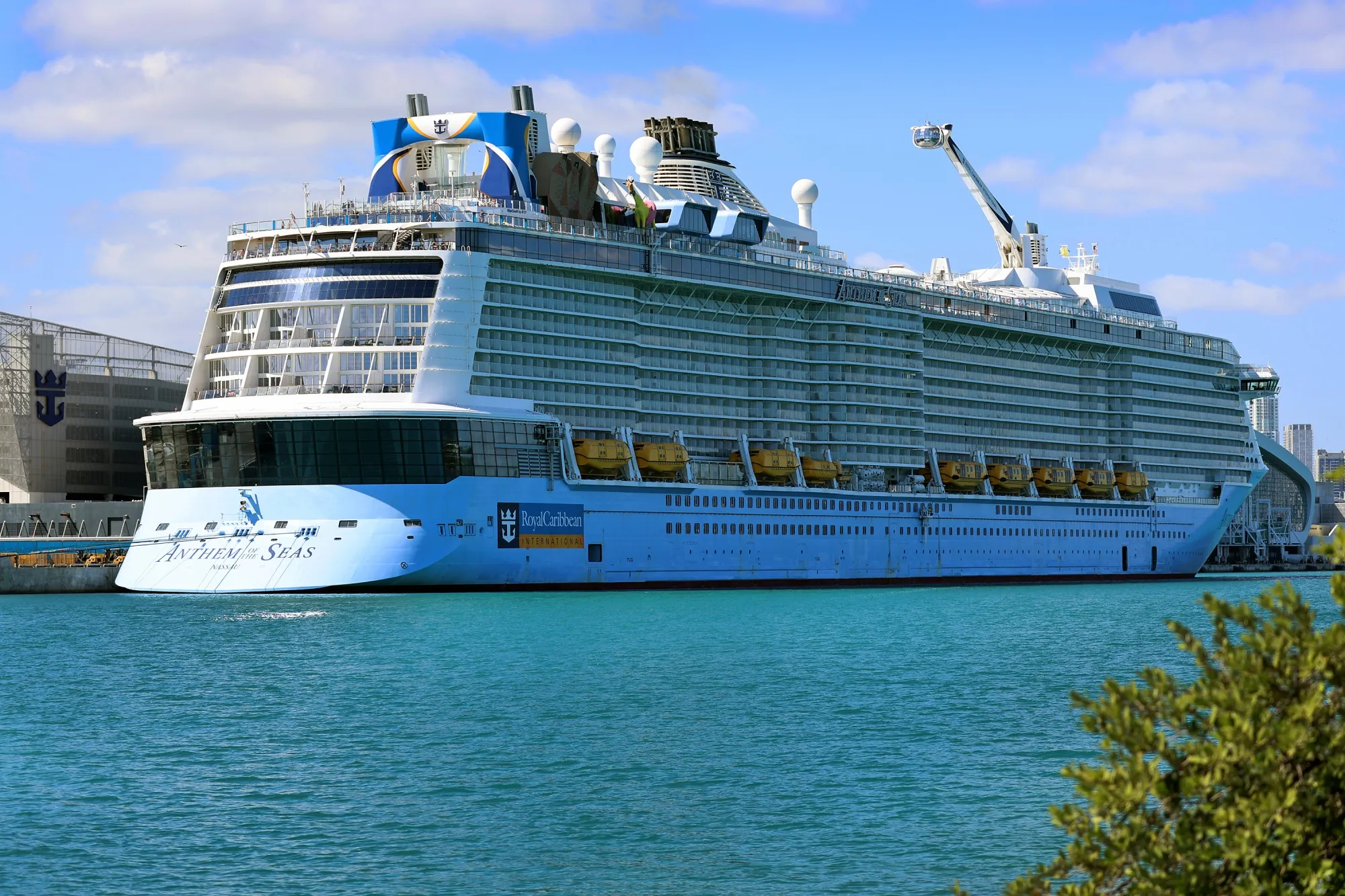 Cruise companies are back near record levels of passenger traffic.