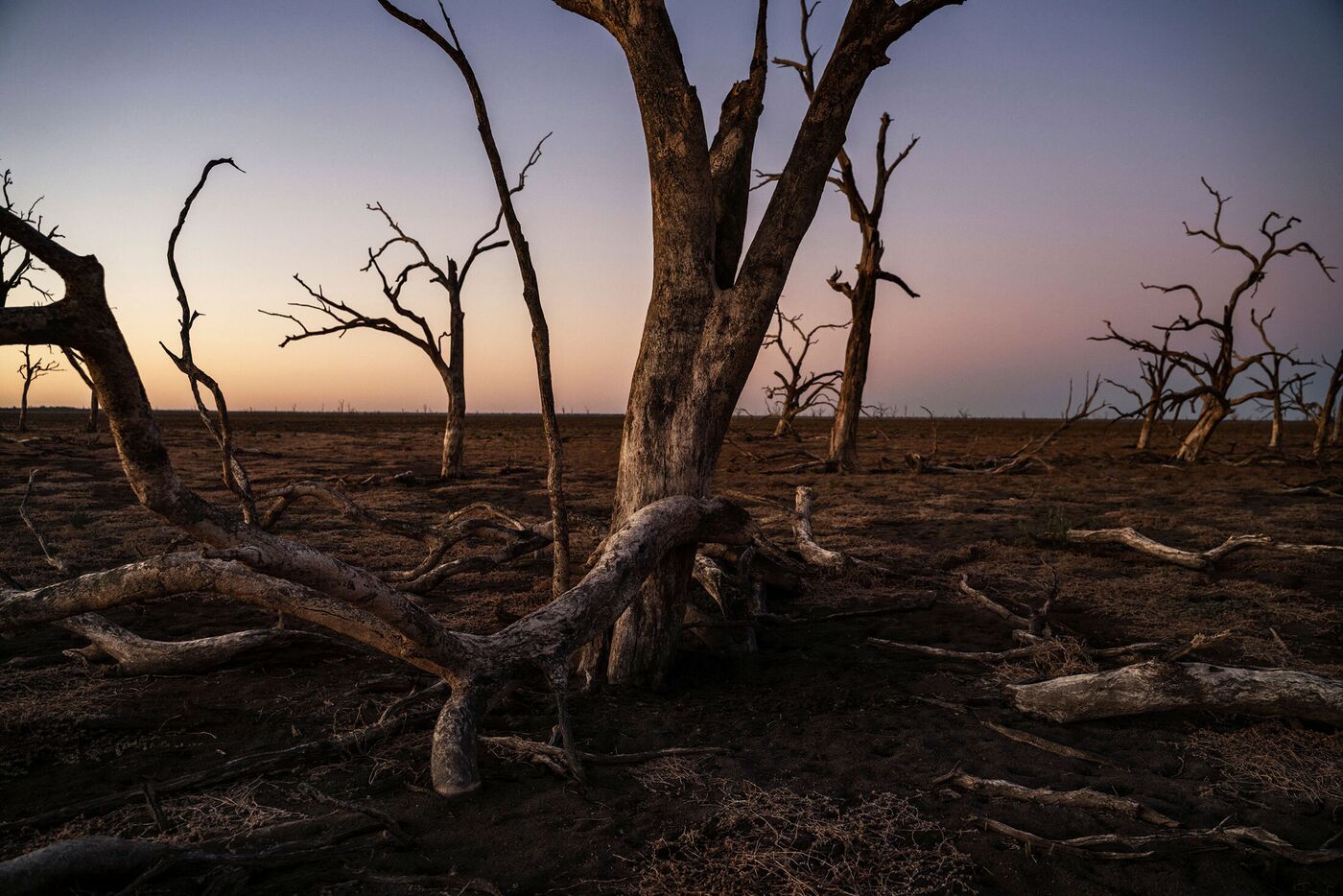 Australia Water Crisis Climate Change, Industrial Farms Dry Up the