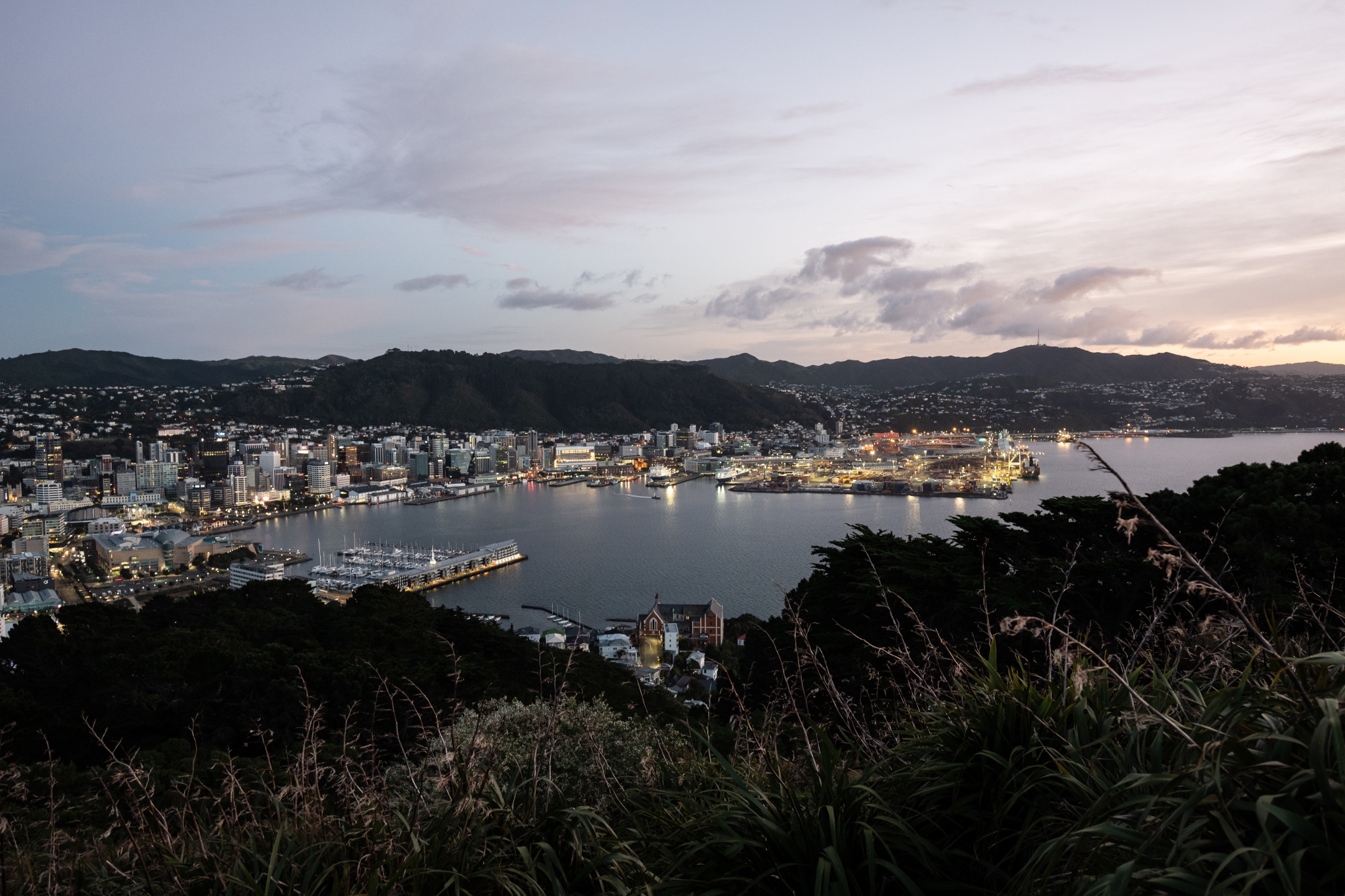 New Zealand Turns to Quantitative Easing to Support Economy - Bloomberg