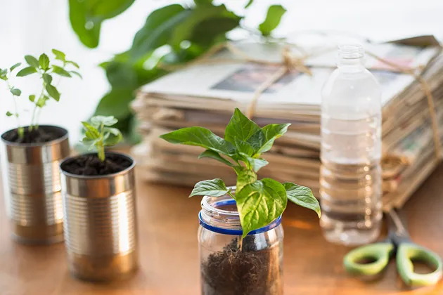 Reduce, Reuse, and Recycle???Part II