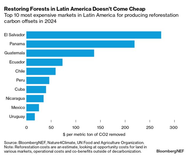 Voluntary Carbon Offset Tracker: June 2024 | BloombergNEF