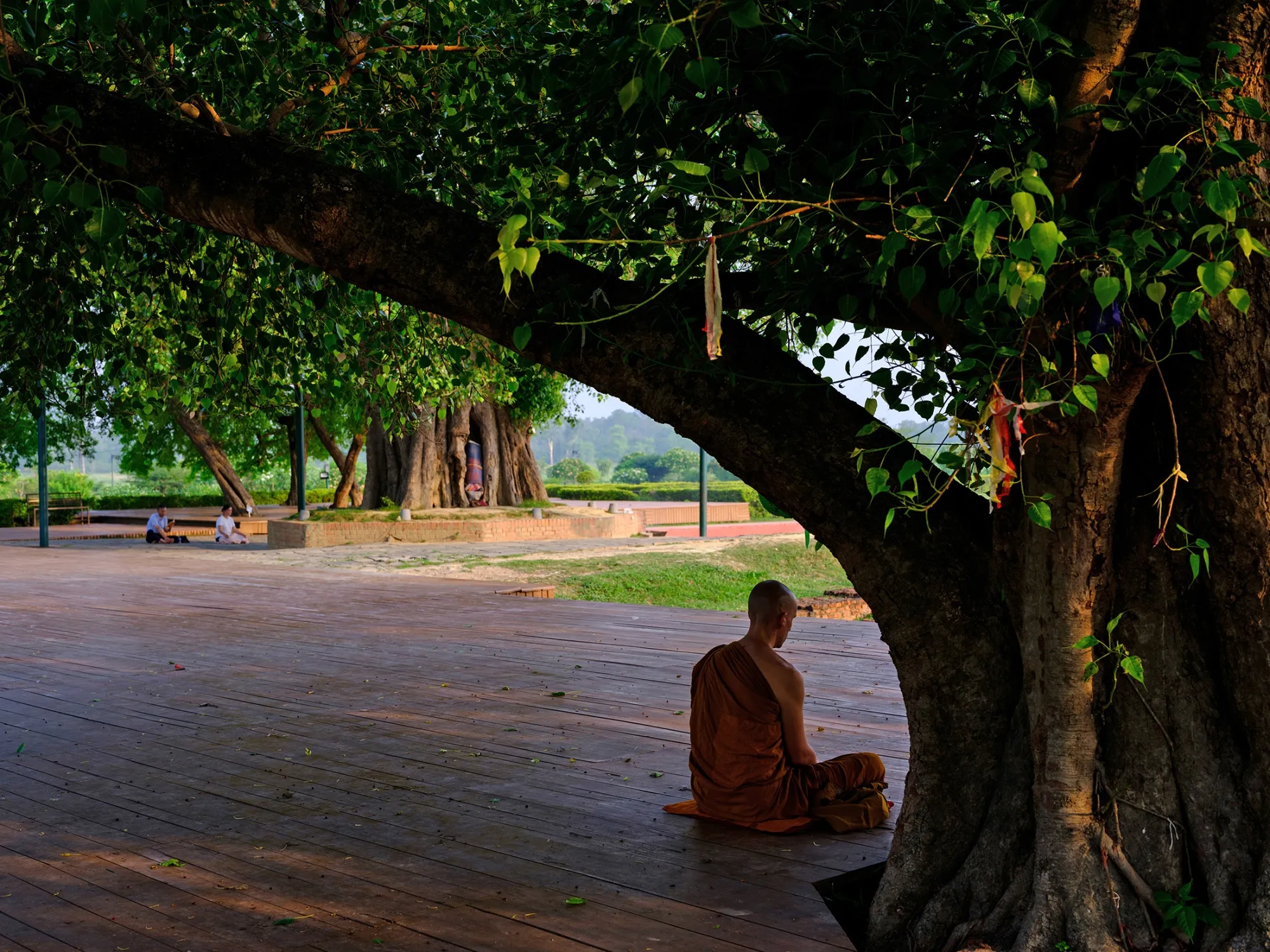 DIMSUMCMS_Lumbini DIMSUMCMS_Lumbini