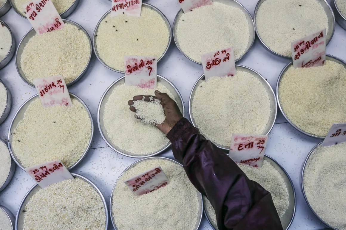 A customer holds a sample of rice for a photograph at a warehouse store in the Vashi Agricultural Produce Market Committee (APMC) wholesale market in Mumbai, India, on Saturday, July 12, 2014. Prime Minister Narendra Modi’s administration increased subsidized grain supplies and set stockpile limits this month to prevent hoarding of onions and potatoes and so curb price gains amid a weak monsoon.