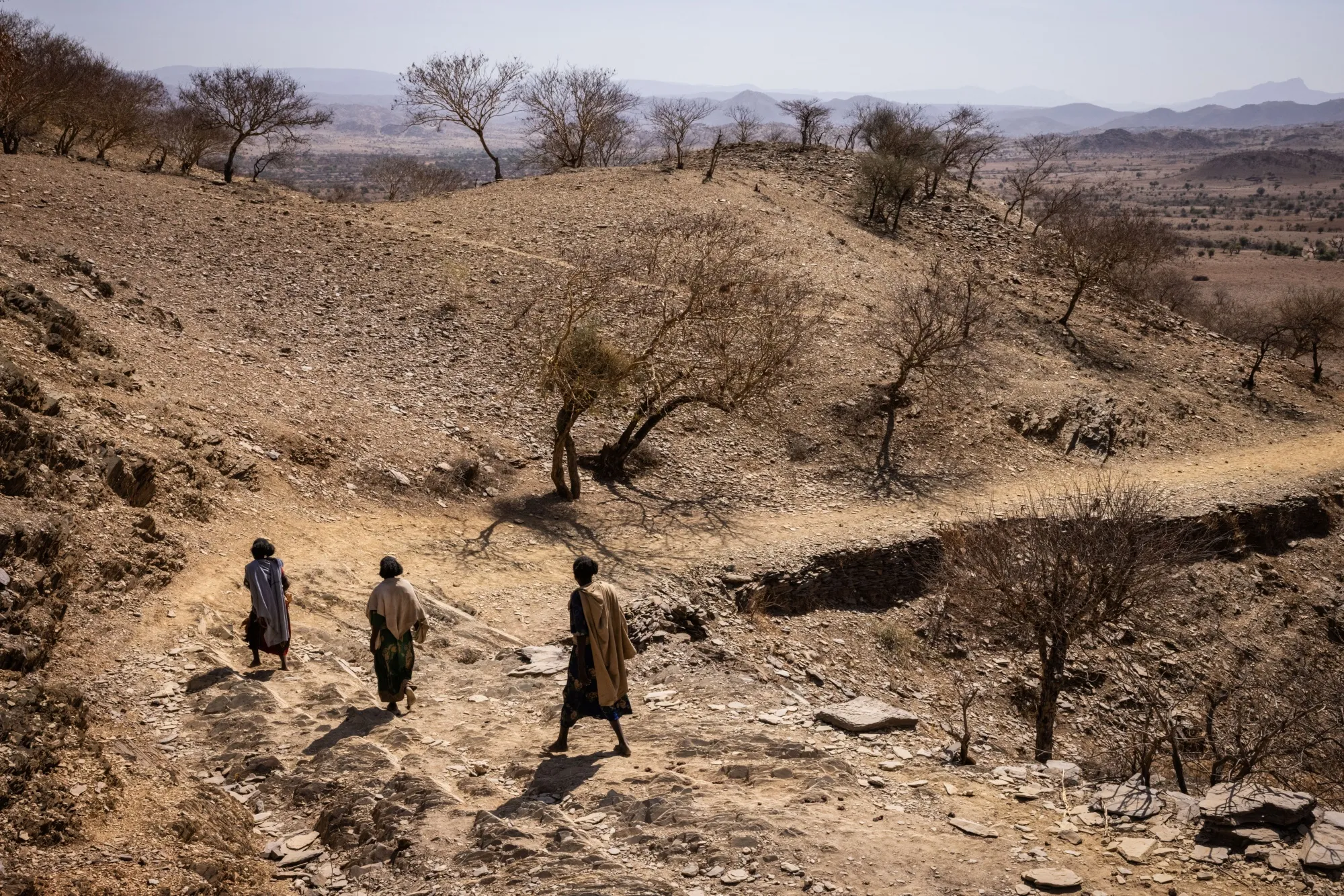 The UN report gives one of the most comprehensive evaluations of what is needed by the developing world.