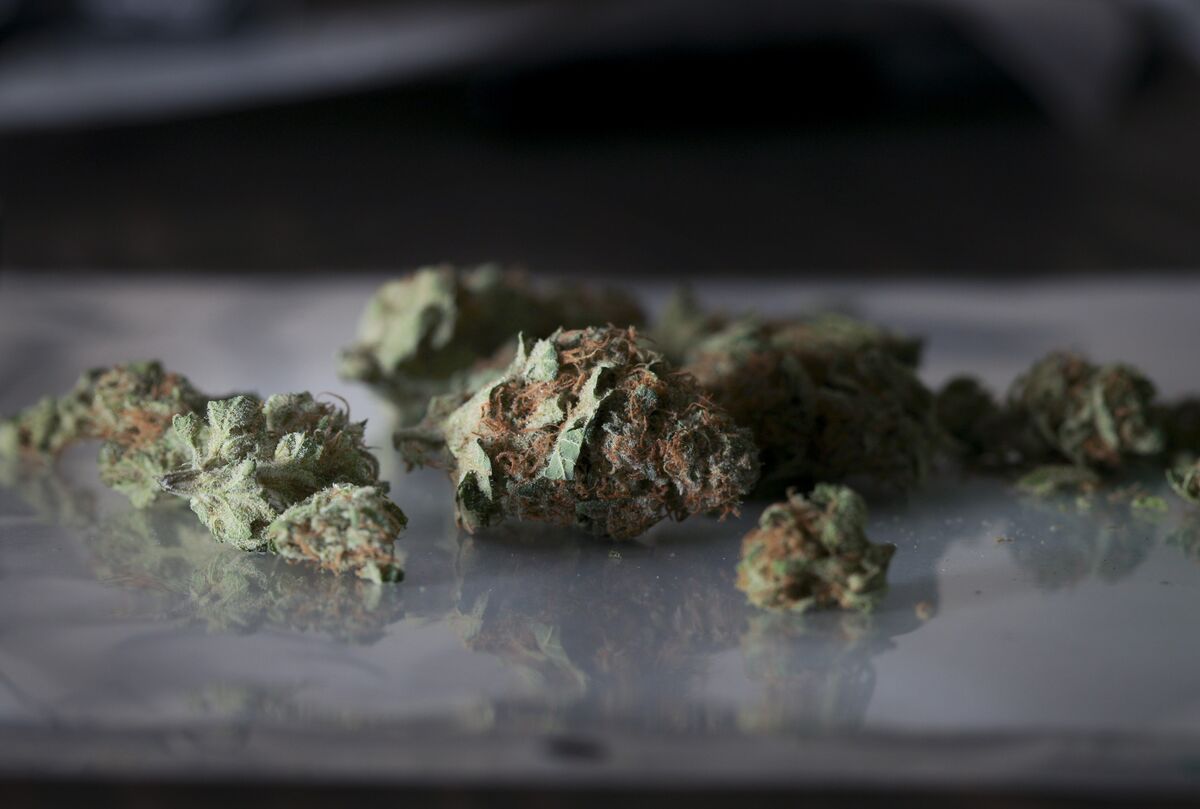 Legal Marijuana Still Faces High Hurdles in New York